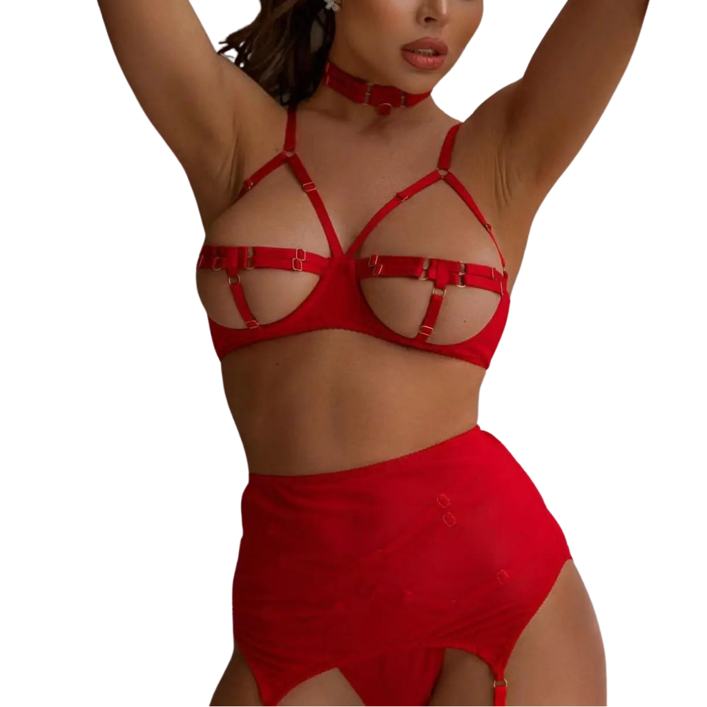 5-teiliges Bandage-Lingerie-Set für Damen, Rotes Exotisches Set, Phantasievolles Transparentes Mesh, Sexy Strumpfband-Set