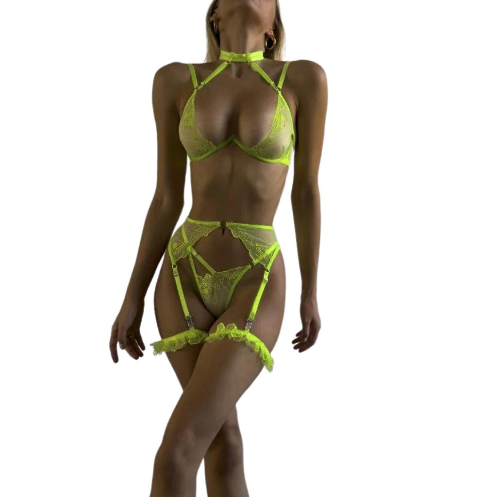 Halter Stickerei-Lingerie-Set für Damen, Sexy Erotischer BH + Höschen Unterwäsche-Set, Transparentes Gerafftes Strumpfband-Set