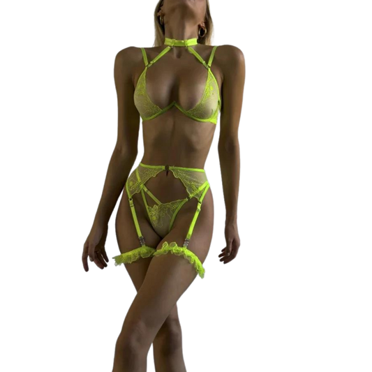 Halter Stickerei-Lingerie-Set für Damen, Sexy Erotischer BH + Höschen Unterwäsche-Set, Transparentes Gerafftes Strumpfband-Set