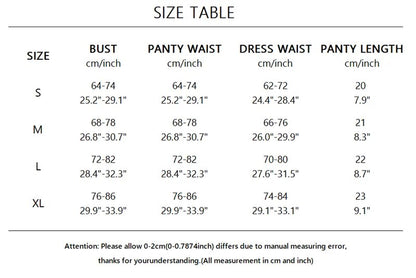 4 Piece Mesh Bra Set for Women 4 Colors Transparent Bandage Panties Underwear Set 2022 Women Sexy Lingerie Set