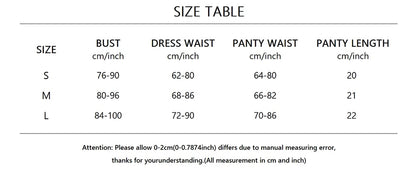 3 Piece Bridal Transparent Underwear Set for Women Bow Detail Fairy Mesh Sexy Lingerie Set with Briefs